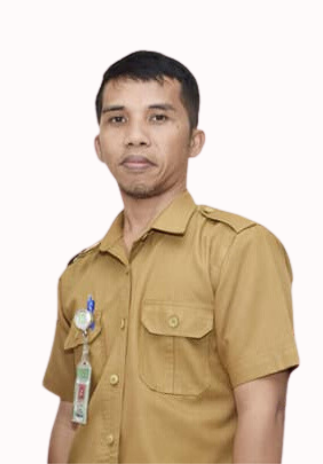 desain web basri